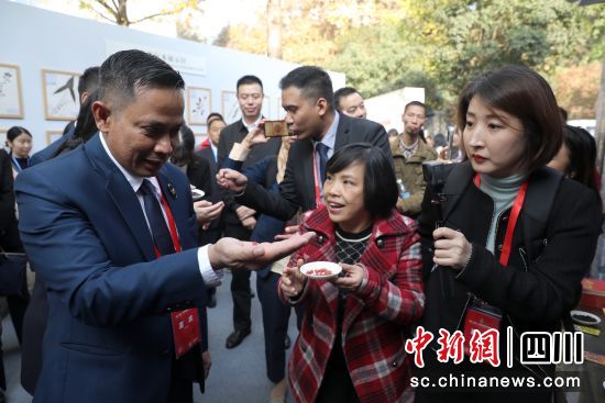 中醫藥文化體驗活動。王磊攝