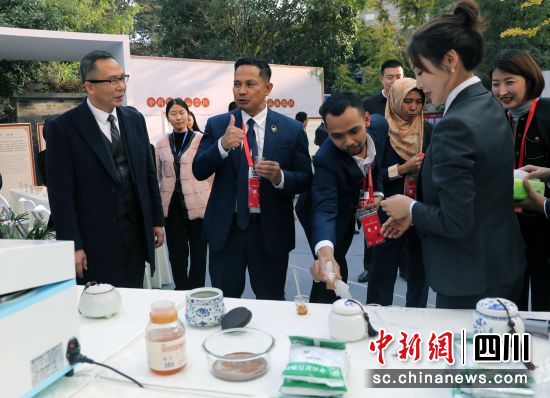 中醫藥文化體驗活動。王磊攝